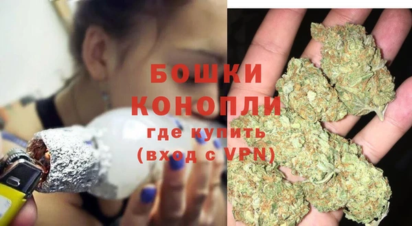 молекула духа Белоозёрский