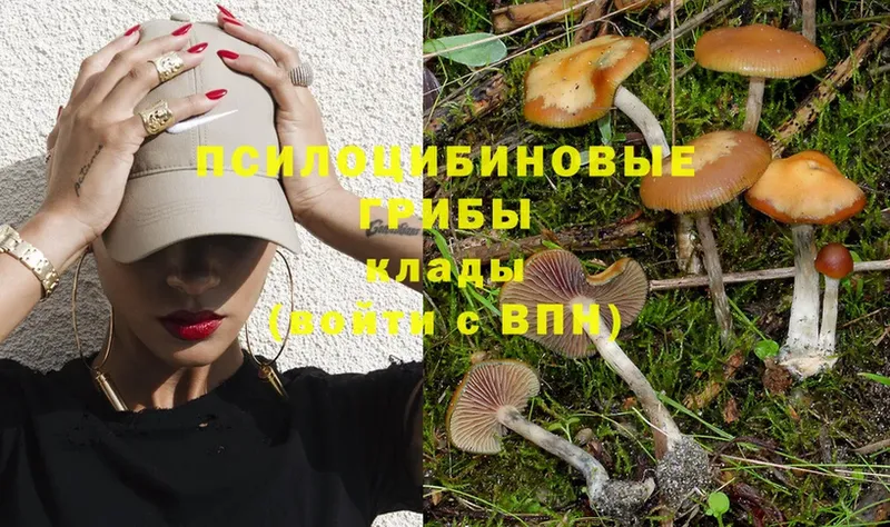 Псилоцибиновые грибы Magic Shrooms  где продают   Змеиногорск 